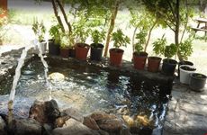 turkiye/balikesir/edremit/ida-bay-bunglov-otel_038d54cd.png