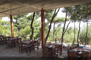 turkiye/balikesir/edremit/ida-bay-bunglov-otel_9f842b62.png