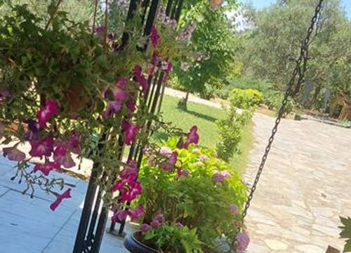 turkiye/balikesir/edremit/malikane-resort_a9c8510d.jpg