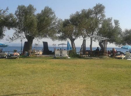 turkiye/balikesir/edremit/the-green-beach-resort-hotel_88083b8e.jpg