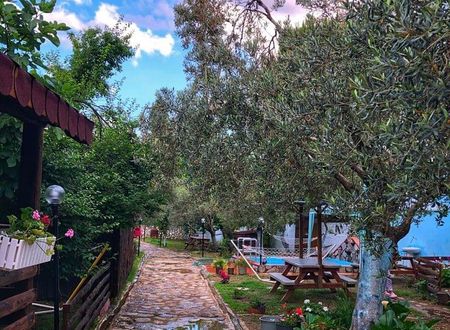 turkiye/balikesir/edremit/zeytin-dagi-bungalow_8774ffe2.jpg