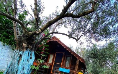 Zeytin Dagi Bungalow · 3