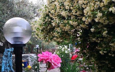 Zeytin Dagi Bungalow · 4