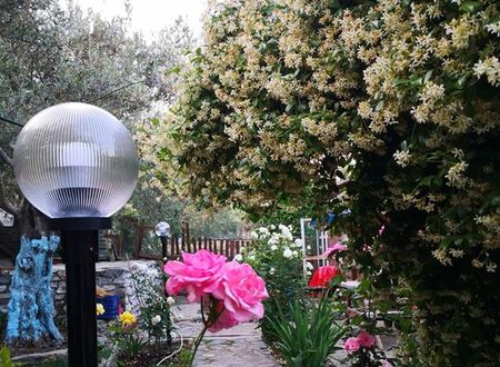 turkiye/balikesir/edremit/zeytin-dagi-bungalow_c7af6a8c.jpg
