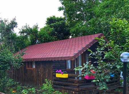 turkiye/balikesir/edremit/zeytin-dagi-bungalow_d59c7b3e.jpg