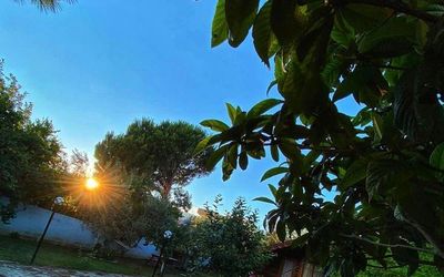 Zeytin Dagi Bungalow · 5