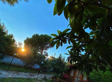 turkiye/balikesir/edremit/zeytin-dagi-bungalow_f5254a10.jpg