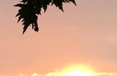 turkiye/balikesir/erdek/arda-hulya-motel_27b2948f.jpg