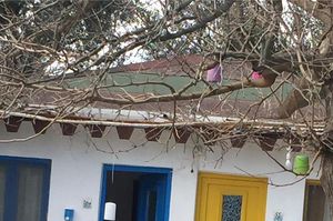 turkiye/balikesir/erdek/arda-hulya-motel_9ca6b8af.jpg