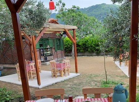 turkiye/balikesir/erdek/evrim-pansiyon_31e176e1.jpg
