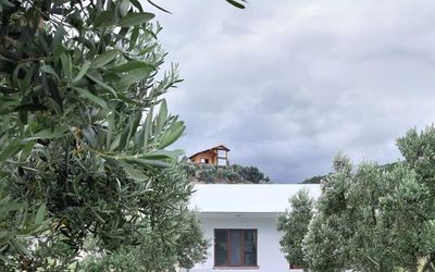 Evrim Pansiyon · 2