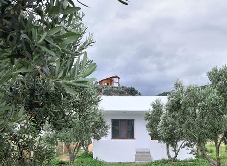 turkiye/balikesir/erdek/evrim-pansiyon_edbb8874.jpg