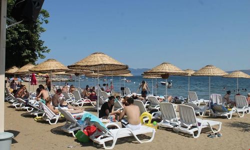 turkiye/balikesir/erdek/junior-beach-hotel_7c79935c.jpg
