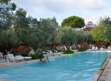 turkiye/balikesir/erdek/oliva-havuzlu-apart-pansiyon_63459ef8.jpg