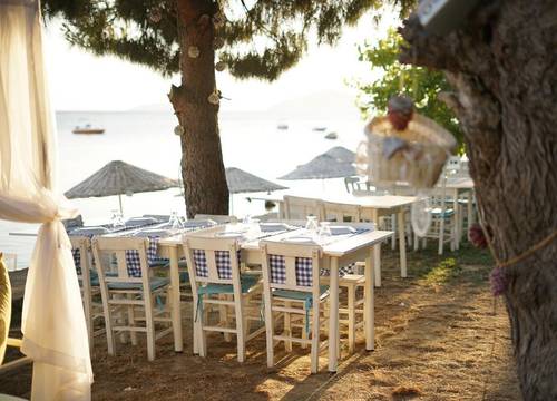 turkiye/balikesir/erdek/pina-mor-luxury-bungalows-tas-evler_1f0e0c4a.jpg