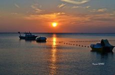 turkiye/balikesir/erdek/tuana-otel_aa3dafc2.jpg