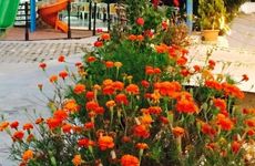 turkiye/balikesir/marmara/aydin-motel_118444ab.jpeg