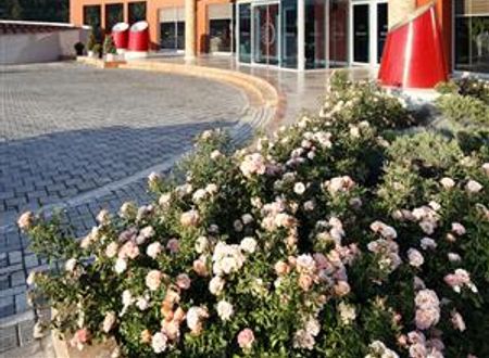 turkiye/balikesir/sindirgi/obam-termal-resort-otel-spa-2021489960.jpg