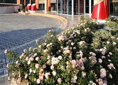 turkiye/balikesir/sindirgi/obam-termal-resort-otel-spa-2021489960.jpg