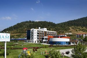 turkiye/balikesir/sindirgi/obam-termal-resort-otel-spa-589840778.jpg
