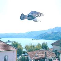 Balkaya Pansiyon