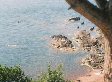 turkiye/bartin/amasra/otel-isminizi-bu-alana-giriniz_b4c5177d.jpg