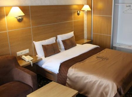 turkiye/bilecik/bozoyuk/grand-cali-hotel-1042593.jpg