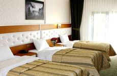 turkiye/bitlis/guroymak/grand-yuksel-otel-38680517.jpg