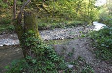 turkiye/bolu/abant/abant-baris-pansiyon-c2d30934.jpg