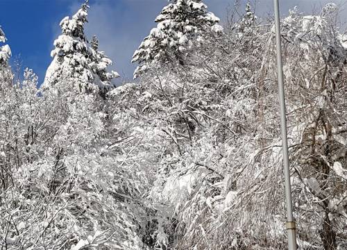 turkiye/bolu/abant/vonresort-abant-de881c88.jpg