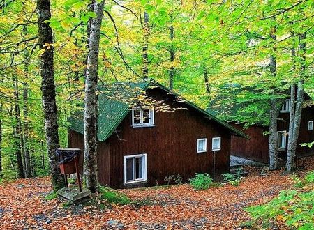 turkiye/bolu/bolu-merkez/habitat-mesire-bungalov-evler_004a60df.jpg