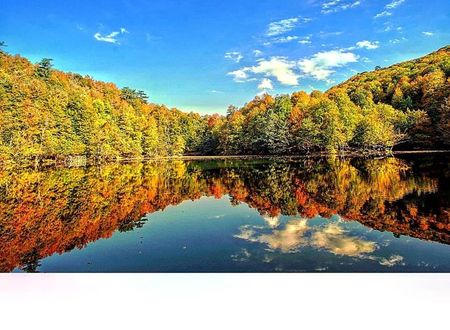 turkiye/bolu/bolu-merkez/habitat-mesire-bungalov-evler_2507b513.jpg