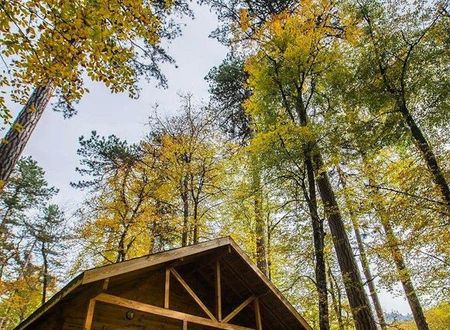 turkiye/bolu/bolu-merkez/habitat-mesire-bungalov-evler_251e4e05.jpg