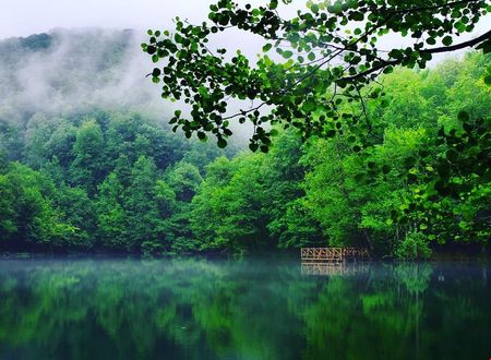 turkiye/bolu/bolu-merkez/habitat-mesire-bungalov-evler_5e4a4c03.jpg