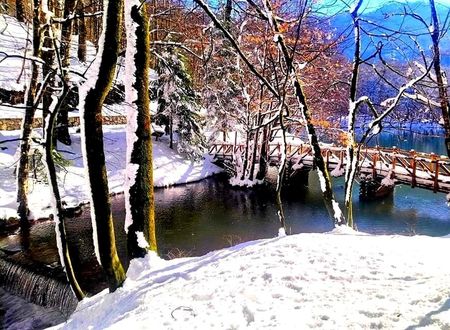 turkiye/bolu/bolu-merkez/habitat-mesire-bungalov-evler_5e7aab92.jpg
