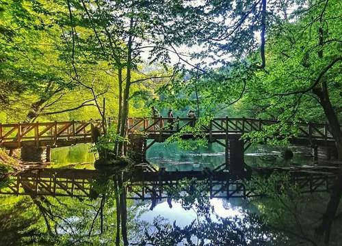 turkiye/bolu/bolu-merkez/habitat-mesire-bungalov-evler_725fd553.jpg