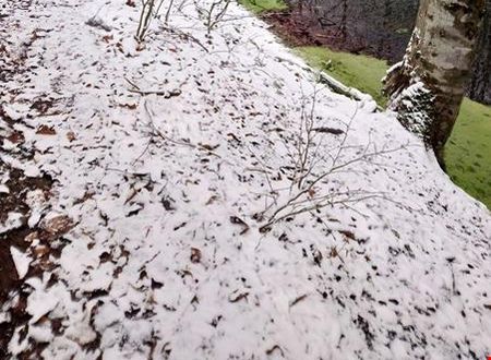 turkiye/bolu/bolu-merkez/habitat-mesire-bungalov-evler_76702a18.jpg