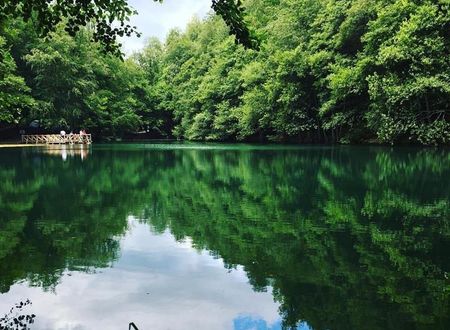 turkiye/bolu/bolu-merkez/habitat-mesire-bungalov-evler_83918e75.jpg