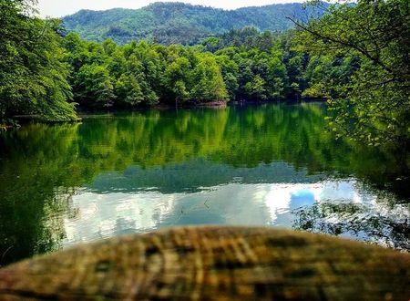 turkiye/bolu/bolu-merkez/habitat-mesire-bungalov-evler_89c0de8c.jpg