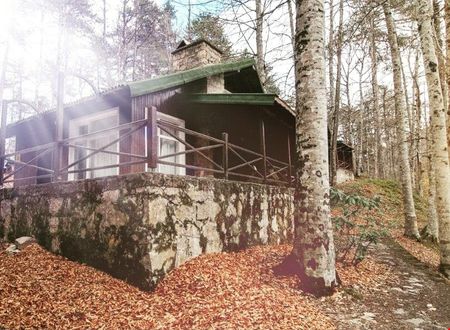 turkiye/bolu/bolu-merkez/habitat-mesire-bungalov-evler_a6ecad0b.jpg