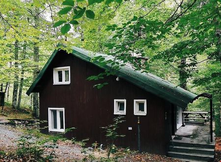turkiye/bolu/bolu-merkez/habitat-mesire-bungalov-evler_d9875254.jpg