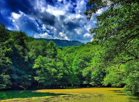 turkiye/bolu/bolu-merkez/habitat-mesire-bungalov-evler_e105b71d.jpg