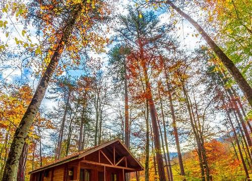 turkiye/bolu/bolu-merkez/habitat-mesire-bungalov-evler_f24f3e3c.jpg