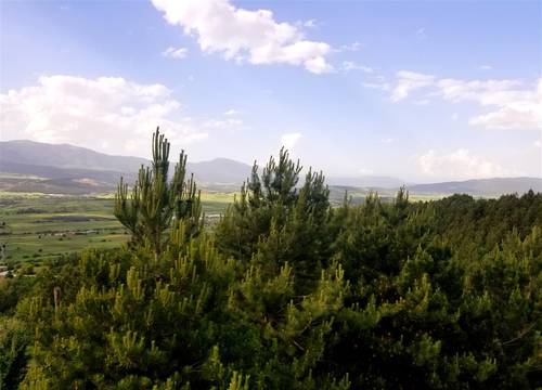 turkiye/bolu/bolumerkez/kartaltepe-boutique-hotel-80f9bd36.jpg