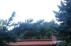 turkiye/bolu/goynuk/mavi-ladin-garden_1105a8f8.jpg