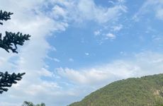 turkiye/bolu/goynuk/mavi-ladin-garden_a026bdce.jpg