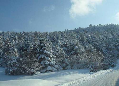 turkiye/bolu/kartalkaya/grand-baysal-hotel_014ac0b6.jpg