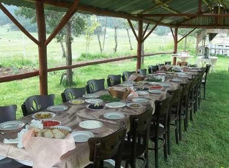 turkiye/bolu/kartalkaya/grand-baysal-hotel_64b5254a.jpg