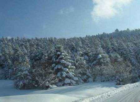 turkiye/bolu/kartalkaya/grand-baysal-hotel_b48e0172.jpg