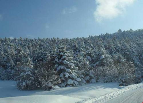 turkiye/bolu/kartalkaya/grand-baysal-hotel_b48e0172.jpg